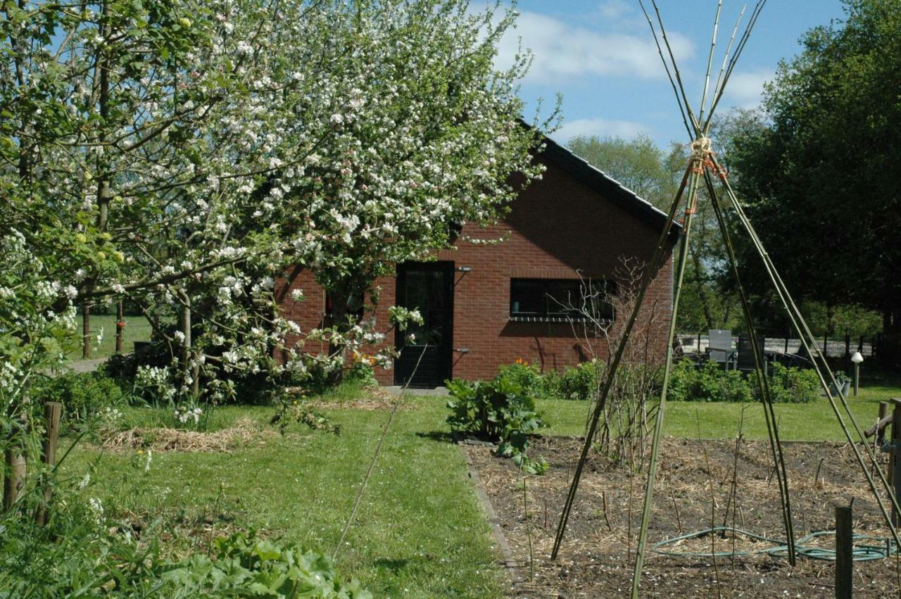 Gastenverblijf Op Het Graveland Zevenhuizen  Exterior photo