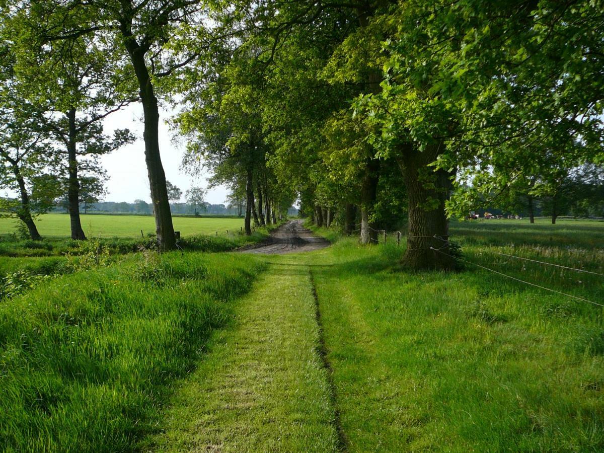 Gastenverblijf Op Het Graveland Zevenhuizen  Exterior photo